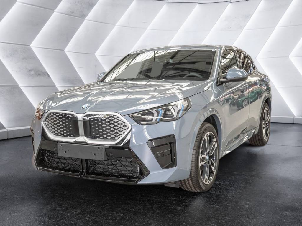 BMW iX2 eDrive 20 M-Sport PDC SHZ KAMERA NAVI LED