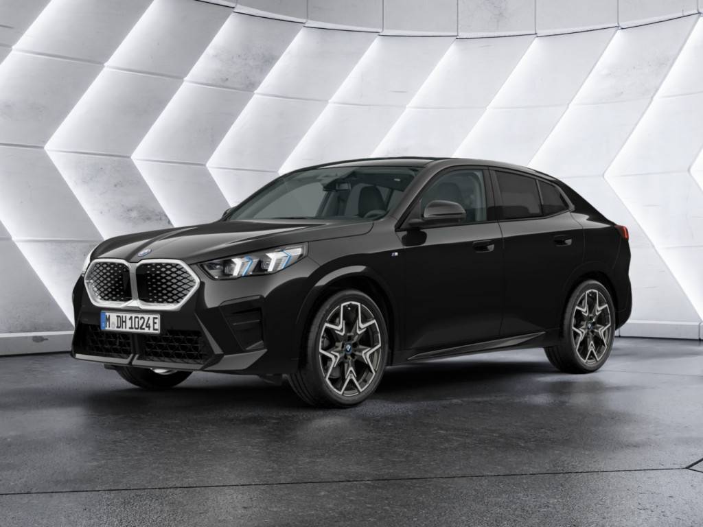BMW iX2 xDrive30 M-Sport NAVI ACC HUD LED PANO 360°