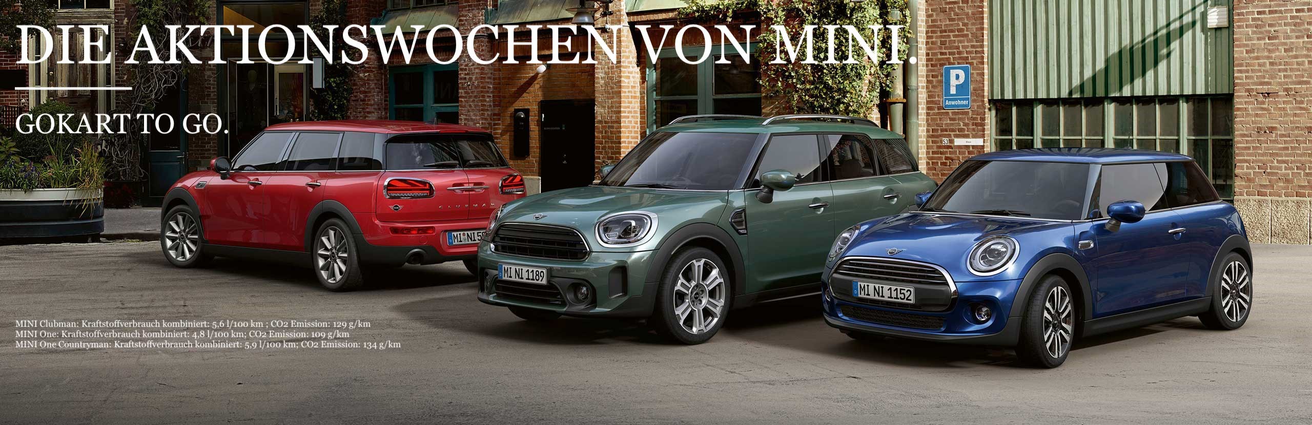MINI FAMILY